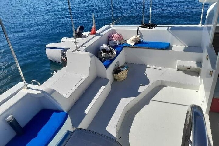 Catamaran private charter - Photo 1 of 25